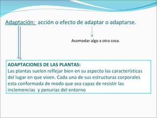Adaptación: acción o efecto de adaptar o adaptarse. Acomodar algo a otra cosa. ADAPTACIONES DE LAS PLANTAS: Las plantas suelen reflejar bien en su aspecto las características del lugar en que viven. Cada una de sus estructuras corporales esta conformada de modo que sea capaz de resistir las inclemencias y penurias del entorno