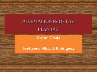 Cuarto Grado
Profesora: Mirza I. Rodríguez
 