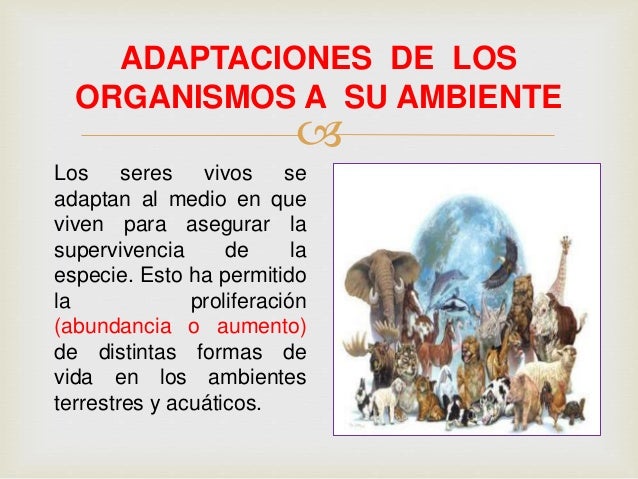 Adaptaciones de los organismos a su ambiente