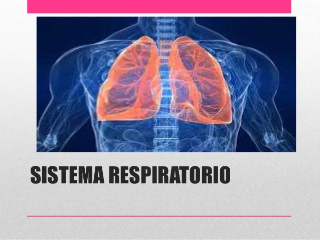 Adaptaciones fisiologicas durante el ejercicio
