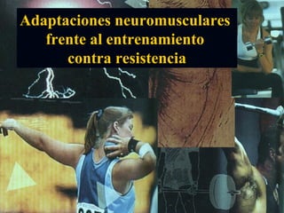 Adaptaciones neuromusculares
frente al entrenamiento
contra resistencia
 