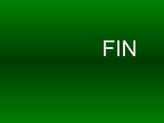 FIN 