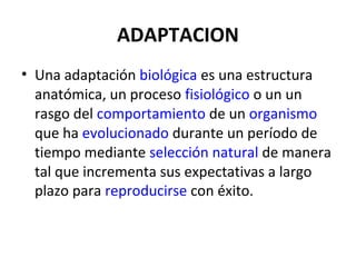 ADAPTACION
• Una adaptación biológica es una estructura
anatómica, un proceso fisiológico o un un
rasgo del comportamiento de un organismo
que ha evolucionado durante un período de
tiempo mediante selección natural de manera
tal que incrementa sus expectativas a largo
plazo para reproducirse con éxito.
 