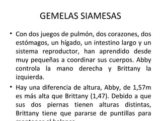 GEMELAS SIAMESAS
• Con dos juegos de pulmón, dos corazones, dos
estómagos, un hígado, un intestino largo y un
sistema reproductor, han aprendido desde
muy pequeñas a coordinar sus cuerpos. Abby
controla la mano derecha y Brittany la
izquierda.
• Hay una diferencia de altura, Abby, de 1,57m
es más alta que Brittany (1,47). Debido a que
sus dos piernas tienen alturas distintas,
Brittany tiene que pararse de puntillas para
 