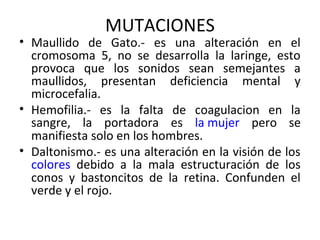 MUTACIONES
• Maullido de Gato.- es una alteración en el
cromosoma 5, no se desarrolla la laringe, esto
provoca que los sonidos sean semejantes a
maullidos, presentan deficiencia mental y
microcefalia.
• Hemofilia.- es la falta de coagulacion en la
sangre, la portadora es la mujer pero se
manifiesta solo en los hombres.
• Daltonismo.- es una alteración en la visión de los
colores debido a la mala estructuración de los
conos y bastoncitos de la retina. Confunden el
verde y el rojo.
 