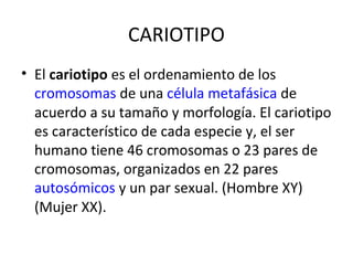 CARIOTIPO
• El cariotipo es el ordenamiento de los
cromosomas de una célula metafásica de
acuerdo a su tamaño y morfología. El cariotipo
es característico de cada especie y, el ser
humano tiene 46 cromosomas o 23 pares de
cromosomas, organizados en 22 pares
autosómicos y un par sexual. (Hombre XY)
(Mujer XX).
 