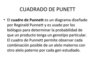 CUADRADO DE PUNETT
• El cuadro de Punnett es un diagrama diseñado
por Reginald Punnett y es usado por los
biólogos para determinar la probabilidad de
que un producto tenga un genotipo particular.
El cuadro de Punnett permite observar cada
combinación posible de un alelo materno con
otro alelo paterno por cada gen estudiado.
 