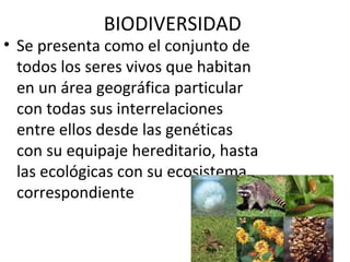 BIODIVERSIDAD
• Se presenta como el conjunto de
todos los seres vivos que habitan
en un área geográfica particular
con todas sus interrelaciones
entre ellos desde las genéticas
con su equipaje hereditario, hasta
las ecológicas con su ecosistema
correspondiente
 