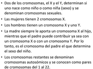 • Dos de los cromosomas, el X y el Y, determinan si
uno nace como niño o como niña (sexo) y se
denominan cromosomas sexuales.
• Las mujeres tienen 2 cromosomas X.
• Los hombres tienen un cromosoma X y uno Y.
• La madre siempre le aporta un cromosoma X al hijo,
mientras que el padre puede contribuir ya sea con
un cromosoma X o con un cromosoma Y. Por lo
tanto, es el cromosoma del padre el que determina
el sexo del niño.
• Los cromosomas restantes se denominan
cromosomas autosómicos y se conocen como pares
de cromosomas del 1 al 22.
 