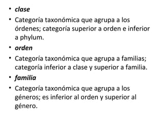 • clase
• Categoría taxonómica que agrupa a los
órdenes; categoría superior a orden e inferior
a phylum.
• orden
• Categoría taxonómica que agrupa a familias;
categoría inferior a clase y superior a familia.
• familia
• Categoría taxonómica que agrupa a los
géneros; es inferior al orden y superior al
género.
 