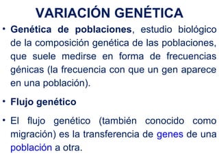 VARIACIÓN GENÉTICA
• Genética de poblaciones, estudio biológico
de la composición genética de las poblaciones,
que suele medirse en forma de frecuencias
génicas (la frecuencia con que un gen aparece
en una población).
• Flujo genético
• El flujo genético (también conocido como
migración) es la transferencia de genes de una
población a otra.
 