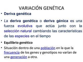VARIACIÓN GENÉTICA
• Deriva genética
• La deriva genética o deriva génica es una
fuerza evolutiva que actúa junto con la
selección natural cambiando las características
de las especies en el tiempo
• Equilibrio genético
• Situación dentro de una población en la que la
frecuencia de los genes y genotipos no varían de
una generación a otra.
 