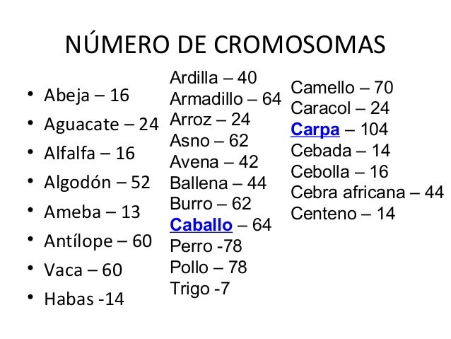 EVOLUCIÓN BIOLÓGICA