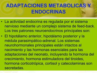 ADAPTACIONES METABOLICAS Y
         ENDOCRINAS
• La actividad endocrina es regulada por el sistema
  nervioso mediante un complejo sistema de feed-back.
  Los tres patrones neuroendocrinos principales son:
• El hipotálamo anterior, hipotálamo posterior y la
  médula parasimpático-adrenal. Los sistemas
  neurohormonales principales están intactos al
  nacimiento y las hormonas esenciales para las
  adaptaciones del neonato, incluyendo la hormona del
  crecimiento, hormona estimuladora del tiroides,
  hormona corticotrópica, cortisol y catecolaminas son
  secretadas.
 
