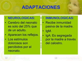 ADAPTACIONES

• NEUROLOGICAS:            • INMUNOLOGICAS:
• Cerebro del neonato      • Recibe inmunidad
  es solo del 25% que        pasiva de la madre.
  de un adulto.            • IgM.
• Aparecen los reflejos.   • IgA: Es segregada
• Los estímulos              por la madre a través
  dolorosos son              del calostro.
  percibidos por el
  neonato.
 