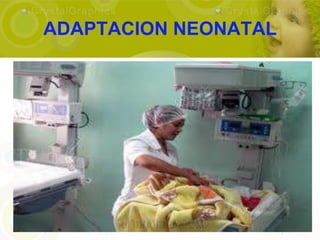 ADAPTACION NEONATAL
 