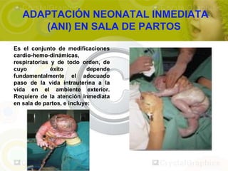ADAPTACIÓN NEONATAL INMEDIATA
      (ANI) EN SALA DE PARTOS

Es el conjunto de modificaciones
cardio-hemo-dinámicas,
respiratorias y de todo orden, de
cuyo          éxito         depende
fundamentalmente el adecuado
paso de la vida intrauterina a la
vida en el ambiente exterior.
Requiere de la atención inmediata
en sala de partos, e incluye:
 