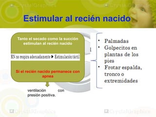 Estimular al recién nacido

Tanto el secado como la succión
   estimulan al recién nacido




Si el recién nacido permanece con
               apnea


      ventilación       con
      presión positiva.
 