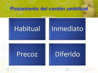 Pinzamiento del cordón umbilical
 