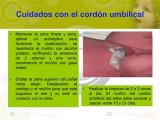Cuidados con el cordón umbilical

•   Mantener la zona limpia y seca,
    aplicar   un    antiséptico para
    favorecer la cicatrización. se
    desinfecta el muñón con alcohol
    yodado, verificando la presencia
    de 2 arterias y una vena,
    envolviendo el muñón con gasa
    estéril.

•   Doblar la parte superior del pañal
    hacia abajo. Destapando el
    ombligo y el muñón para que este     •   Realizar la limpieza de 2 a 3 veces
    expuesto al aire y no este en            al día. El muñón del cordón
    contacto con la orina.                   umbilical del bebe debe secarse y
                                             caerse entre 10 y 21 días
 