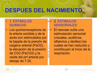 DESPUES DEL NACIMIENTO
• 1. ESTIMULOS                  • 2. ESTIMULOS
  QUIMICOS:                       SENSORIALES:
• Los quimiorreceptores de      • El neonato sufre una
  la arteria carótida y de la     estimulación sensorial
  aorta son estimulados por       (visuales, auditivos,
  la bajada de la presión de      olfatorios y táctiles) los
  oxigeno arterial (PaO2),        cuales se han reducido y
  la elevación de la presión      contribuyen al inicio de la
  de CO2 (PaCO2) y la             respiración.
  caída del pH arterial por
  debajo de 7.35.
 