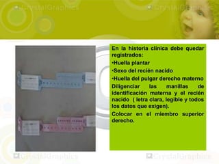 En la historia clínica debe quedar
registrados:
•Huella plantar
•Sexo del recién nacido
•Huella del pulgar derecho materno
Diligenciar    las     manillas    de
identificación materna y el recién
nacido ( letra clara, legible y todos
los datos que exigen).
Colocar en el miembro superior
derecho.
 