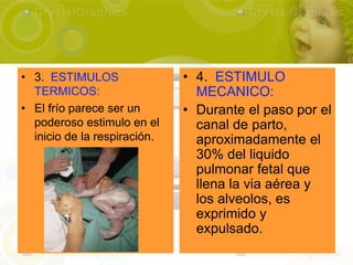 • 3. ESTIMULOS                • 4. ESTIMULO
  TERMICOS:                     MECANICO:
• El frío parece ser un       • Durante el paso por el
  poderoso estimulo en el       canal de parto,
  inicio de la respiración.     aproximadamente el
                                30% del liquido
                                pulmonar fetal que
                                llena la via aérea y
                                los alveolos, es
                                exprimido y
                                expulsado.
 