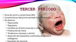 • Dura de 10min a varias horas (6h).
• Características del primer periodo mas acentuadas
• Se observa:
• Taquicardia
• Taquipnea
• Cambios en el tono muscular y color
• Producción de moco
• Tendencia a náuseas y vómito
• Aparición de respuestas a estímulos exógenos o
endógenos
• Expulsión de meconio
 