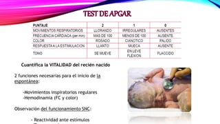 Cuantifica la VITALIDAD del recién nacido
2 funciones necesarias para el inicio de la
espontánea:
-Movimientos inspiratorios regulares
-Hemodinamia (FC y color)
Observación del funcionamiento SNC:
- Reactividad ante estímulos
 
