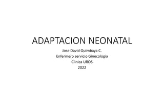 ADAPTACION NEONATAL
Jose David Quimbaya C.
Enfermero servicio Ginecologia
Clinica UROS
2022
 