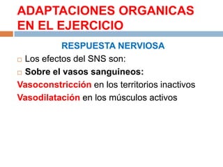 ADAPTACIONES ORGANICAS
EN EL EJERCICIO
RESPUESTA NERVIOSA
 Los efectos del SNS son:
 Sobre el vasos sanguineos:
Vasoconstricción en los territorios inactivos
Vasodilatación en los músculos activos

 