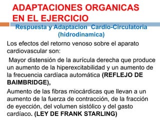 ADAPTACIONES ORGANICAS
EN EL EJERCICIO
Respuesta y Adaptacion Cardio-Circulatoria
(hidrodinamica)
Los efectos del retorno venoso sobre el aparato
cardiovascular son:
Mayor distensión de la aurícula derecha que produce
un aumento de la hiperexcitabilidad y un aumento de
la frecuencia cardíaca automática (REFLEJO DE
BAIMBRIDGE),
Aumento de las fibras miocárdicas que llevan a un
aumento de la fuerza de contracción, de la fracción
de eyección, del volumen sistólico y del gasto
cardíaco. (LEY DE FRANK STARLING)

 
