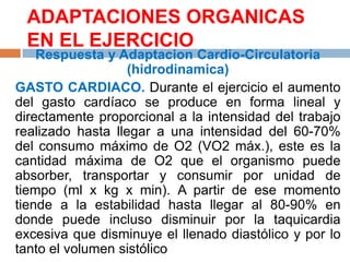 ADAPTACIONES ORGANICAS
EN EL EJERCICIO

Respuesta y Adaptacion Cardio-Circulatoria
(hidrodinamica)
GASTO CARDIACO. Durante el ejercicio el aumento
del gasto cardíaco se produce en forma lineal y
directamente proporcional a la intensidad del trabajo
realizado hasta llegar a una intensidad del 60-70%
del consumo máximo de O2 (VO2 máx.), este es la
cantidad máxima de O2 que el organismo puede
absorber, transportar y consumir por unidad de
tiempo (ml x kg x min). A partir de ese momento
tiende a la estabilidad hasta llegar al 80-90% en
donde puede incluso disminuir por la taquicardia
excesiva que disminuye el llenado diastólico y por lo
tanto el volumen sistólico

 