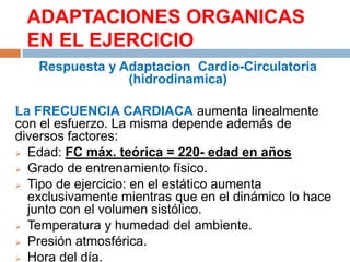 ADAPTACIONES ORGANICAS
EN EL EJERCICIO
Respuesta y Adaptacion Cardio-Circulatoria
(hidrodinamica)
La FRECUENCIA CARDIACA aumenta linealmente
con el esfuerzo. La misma depende además de
diversos factores:
 Edad: FC máx. teórica = 220- edad en años
 Grado de entrenamiento físico.
 Tipo de ejercicio: en el estático aumenta
exclusivamente mientras que en el dinámico lo hace
junto con el volumen sistólico.
 Temperatura y humedad del ambiente.
 Presión atmosférica.
 Hora del día.

 