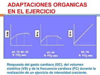 ADAPTACIONES ORGANICAS
EN EL EJERCICIO

Respuesta del gasto cardíaco (GC), del volumen
sistólico (VS) y de la frecuencia cardíaca (FC) durante la
realización de un ejercicio de intensidad creciente.

 