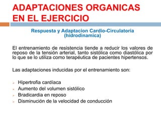 ADAPTACIONES ORGANICAS
EN EL EJERCICIO
Respuesta y Adaptacion Cardio-Circulatoria
(hidrodinamica)
El entrenamiento de resistencia tiende a reducir los valores de
reposo de la tensión arterial, tanto sistólica como diastólica por
lo que se lo utiliza como terapéutica de pacientes hipertensos.

Las adaptaciones inducidas por el entrenamiento son:





Hipertrofia cardíaca
Aumento del volumen sistólico
Bradicardia en reposo
Disminución de la velocidad de conducción

 