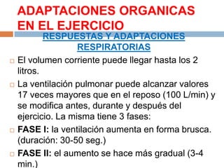ADAPTACIONES ORGANICAS
EN EL EJERCICIO








RESPUESTAS Y ADAPTACIONES
RESPIRATORIAS
El volumen corriente puede llegar hasta los 2
litros.
La ventilación pulmonar puede alcanzar valores
17 veces mayores que en el reposo (100 L/min) y
se modifica antes, durante y después del
ejercicio. La misma tiene 3 fases:
FASE I: la ventilación aumenta en forma brusca.
(duración: 30-50 seg.)
FASE II: el aumento se hace más gradual (3-4
min.)

 