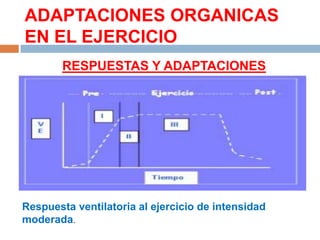 ADAPTACIONES ORGANICAS
EN EL EJERCICIO
RESPUESTAS Y ADAPTACIONES
RESPIRATORIAS

Respuesta ventilatoria al ejercicio de intensidad
moderada.

 
