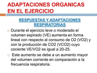 ADAPTACIONES ORGANICAS
EN EL EJERCICIO





RESPUESTAS Y ADAPTACIONES
RESPIRATORIAS
Durante el ejercicio leve o moderado el
volumen espirado (VE) aumenta en forma
lineal con respecto al consumo de O2 (VO2) y
con la producción de CO2 (VCO2) cuyo
cociente VE/VO2 es igual a 20-25.
Este aumento se debe a un aumento mayor
del volumen corriente en comparación a la
frecuencia respiratoria.

 