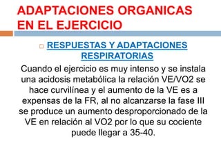 ADAPTACIONES ORGANICAS
EN EL EJERCICIO
RESPUESTAS Y ADAPTACIONES
RESPIRATORIAS
Cuando el ejercicio es muy intenso y se instala
una acidosis metabólica la relación VE/VO2 se
hace curvilínea y el aumento de la VE es a
expensas de la FR, al no alcanzarse la fase III
se produce un aumento desproporcionado de la
VE en relación al VO2 por lo que su cociente
puede llegar a 35-40.


 