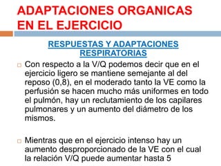 ADAPTACIONES ORGANICAS
EN EL EJERCICIO




RESPUESTAS Y ADAPTACIONES
RESPIRATORIAS
Con respecto a la V/Q podemos decir que en el
ejercicio ligero se mantiene semejante al del
reposo (0,8), en el moderado tanto la VE como la
perfusión se hacen mucho más uniformes en todo
el pulmón, hay un reclutamiento de los capilares
pulmonares y un aumento del diámetro de los
mismos.
Mientras que en el ejercicio intenso hay un
aumento desproporcionado de la VE con el cual
la relación V/Q puede aumentar hasta 5

 