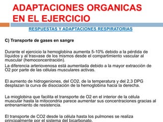 ADAPTACIONES ORGANICAS
EN EL EJERCICIO
RESPUESTAS Y ADAPTACIONES RESPIRATORIAS
C) Transporte de gases en sangre
Durante el ejercicio la hemoglobina aumenta 5-10% debido a la pérdida de
líquidos y al trasvase de los mismos desde el compartimiento vascular al
muscular (hemoconcentración).
La diferencia arteriovenosa está aumentada debido a la mayor extracción de
O2 por parte de las células musculares activas.
El aumento de hidrogeniones, del CO2, de la temperatura y del 2,3 DPG
desplazan la curva de disociación de la hemoglobina hacia la derecha.
La mioglobina que facilita el transporte de O2 en el interior de la célula
muscular hasta la mitocondria parece aumentar sus concentraciones gracias al
entrenamiento de resistencia.

El transporte de CO2 desde la célula hasta los pulmones se realiza
principalmente por el sistema del bicarbonato.

 