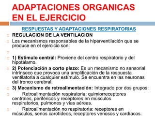 ADAPTACIONES ORGANICAS
EN EL EJERCICIO



RESPUESTAS Y ADAPTACIONES RESPIRATORIAS
REGULACION DE LA VENTILACION
Los mecanismos responsables de la hiperventilación que se
produce en el ejercicio son:











1) Estímulo central: Proviene del centro respiratorio y del
hipotálamo.
2) Potenciación a corto plazo: Es un mecanismo no sensorial
intrínseco que provoca una amplificación de la respuesta
ventilatoria a cualquier estímulo. Se encuentra en las neuronas
del tronco cerebral.
3) Mecanismo de retroalimentación: Integrado por dos grupos:
Retroalimentación respiratoria: quimiorreceptores
centrales, periféricos y receptores en músculos
respiratorios, pulmones y vías aéreas.
Retroalimentación no respiratoria: receptores en
músculos, senos carotídeos, receptores venosos y cardíacos.

 
