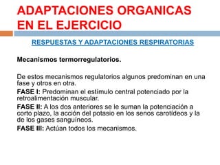 ADAPTACIONES ORGANICAS
EN EL EJERCICIO
RESPUESTAS Y ADAPTACIONES RESPIRATORIAS

Mecanismos termorregulatorios.
De estos mecanismos regulatorios algunos predominan en una
fase y otros en otra.
FASE I: Predominan el estímulo central potenciado por la
retroalimentación muscular.
FASE II: A los dos anteriores se le suman la potenciación a
corto plazo, la acción del potasio en los senos carotídeos y la
de los gases sanguíneos.
FASE III: Actúan todos los mecanismos.

 