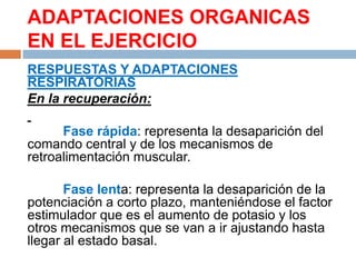 ADAPTACIONES ORGANICAS
EN EL EJERCICIO
RESPUESTAS Y ADAPTACIONES
RESPIRATORIAS
En la recuperación:
Fase rápida: representa la desaparición del
comando central y de los mecanismos de
retroalimentación muscular.
Fase lenta: representa la desaparición de la
potenciación a corto plazo, manteniéndose el factor
estimulador que es el aumento de potasio y los
otros mecanismos que se van a ir ajustando hasta
llegar al estado basal.

 