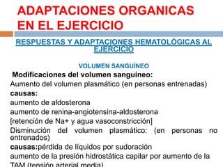 ADAPTACIONES ORGANICAS
EN EL EJERCICIO
RESPUESTAS Y ADAPTACIONES HEMATOLÓGICAS AL
EJERCICIO
VOLUMEN SANGUÍNEO

Modificaciones del volumen sanguíneo:
Aumento del volumen plasmático (en personas entrenadas)
causas:
aumento de aldosterona
aumento de renina-angiotensina-aldosterona
[retención de Na+ y agua vasoconstricción]
Disminución del volumen plasmático: (en personas no
entrenados)
causas:pérdida de líquidos por sudoración
aumento de la presión hidrostática capilar por aumento de la

 