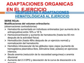 ADAPTACIONES ORGANICAS
EN EL EJERCICIO
RESPUESTAS Y ADAPTACIONES
HEMATOLÓGICAS AL EJERCICIO
SERIE ROJA:
Modificaciones del volumen eritrocitario:
(observaciones contradictorias)
 Hematocrito aumentado en individuos entrenados (por aumento de la
eritropoyetina) entre 16% a 18 %
 Hemoconcentración y aumento de hematocrito (hasta los 60 min
después de la actividad física)
 Hemodilución (hasta 48hs después de un ejercicio normal) y
normalización del hematocrito
 Hemólisis intravascular de los glóbulos rojos viejos (aumento de
hemoglobina plasmática libre, bilirrubina total, potasio) en ejercicios
intensos.
 Seudo anemia (reducción de la viscosidad sanguínea) o anemia
dilucional
 Aumento del 2-3 DPG y desviación de la curva de disociación a la

 