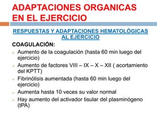 ADAPTACIONES ORGANICAS
EN EL EJERCICIO
RESPUESTAS Y ADAPTACIONES HEMATOLÓGICAS
AL EJERCICIO
COAGULACIÓN:
 Aumento de la coagulación (hasta 60 min luego del
ejercicio)
 Aumento de factores VIII – IX – X – XII ( acortamiento
del KPTT)
 Fibrinólisis aumentada (hasta 60 min luego del
ejercicio)
 Aumenta hasta 10 veces su valor normal
 Hay aumento del activador tisular del plasminógeno
(tPA)

 