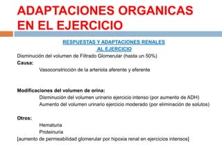 ADAPTACIONES ORGANICAS
EN EL EJERCICIO
RESPUESTAS Y ADAPTACIONES RENALES
AL EJERCICIO
Disminución del volumen de Filtrado Glomerular (hasta un 50%)
Causa:
Vasoconstricción de la arteriola aferente y eferente

Modificaciones del volumen de orina:
Disminución del volumen urinario ejercicio intenso (por aumento de ADH)
Aumento del volumen urinario ejercicio moderado (por eliminación de solutos)
Otros:
Hematuria
Proteinuria
[aumento de permeabilidad glomerular por hipoxia renal en ejercicios intensos]

 