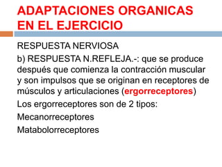 ADAPTACIONES ORGANICAS
EN EL EJERCICIO
RESPUESTA NERVIOSA
b) RESPUESTA N.REFLEJA.-: que se produce
después que comienza la contracción muscular
y son impulsos que se originan en receptores de
músculos y articulaciones (ergorreceptores)
Los ergorreceptores son de 2 tipos:
Mecanorreceptores
Matabolorreceptores

 